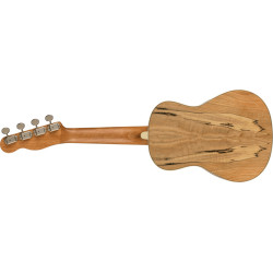 Fender Zuma Exotic Concert Ukulele Walnut Fingerboard Spalted Maple