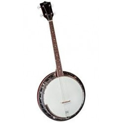 Rover 4 String Banjo Tenor
