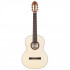 Kremona RS Rondo Classical Guitar Solid Spruce Top with Case 