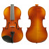 Raggetti RV2 Violin 4/4 Outfit
