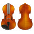 Raggetti RV2 Violin 3/4 Outfit