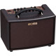Roland AC-22LX Acoustic Amplifier