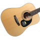 Cort Acoustic Electric CAP810 Trailblazer Guitar Pack