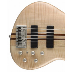 Ibanez Bass 5 String Guitar SR605 NTF