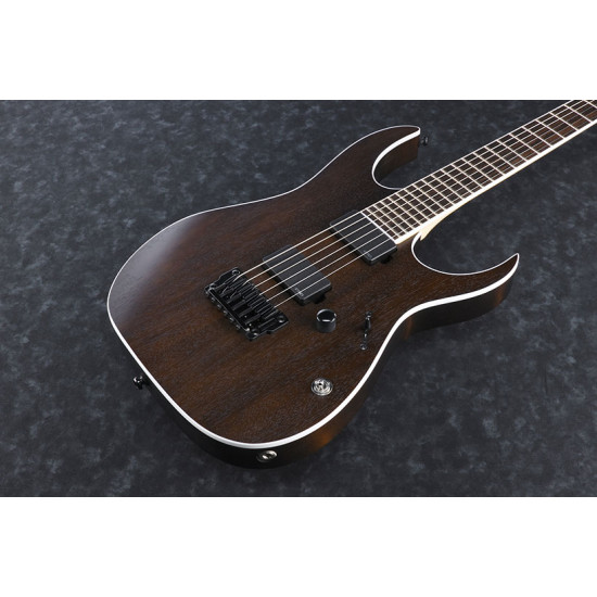 Ibanez Iron Label RGIR20BFE